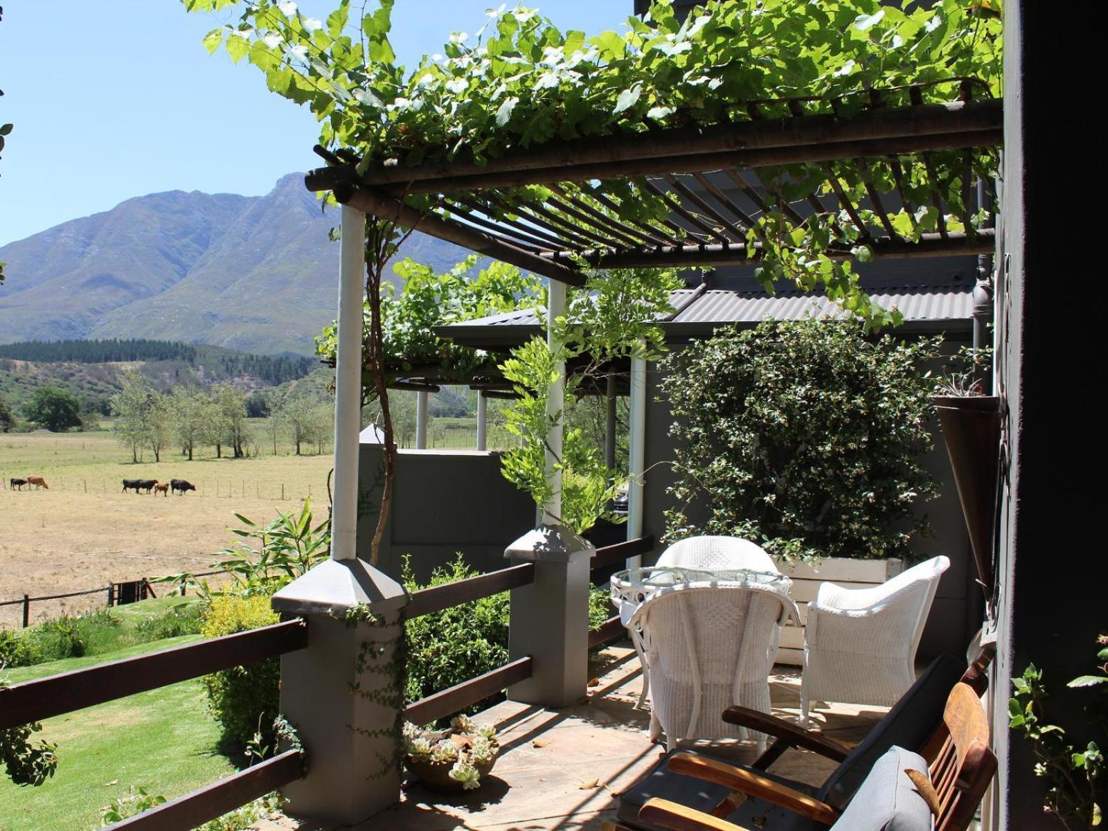 Arumvale Country Retreat Swellendam Habitación foto